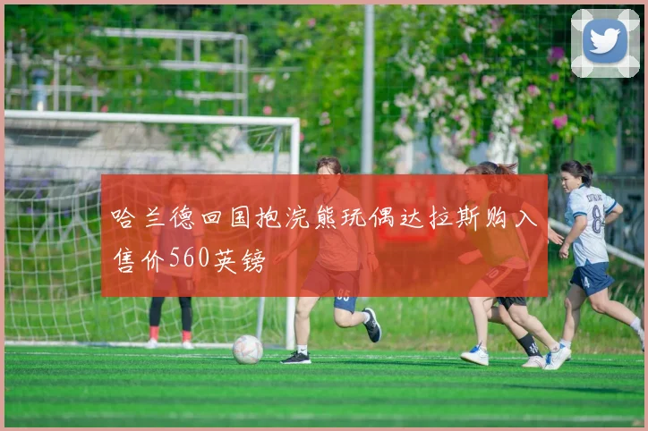 哈兰德回国抱浣熊玩偶达拉斯购入售价560英镑