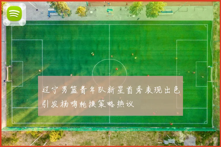 辽宁男篮青年队新星首秀表现出色引发杨鸣轮换策略热议